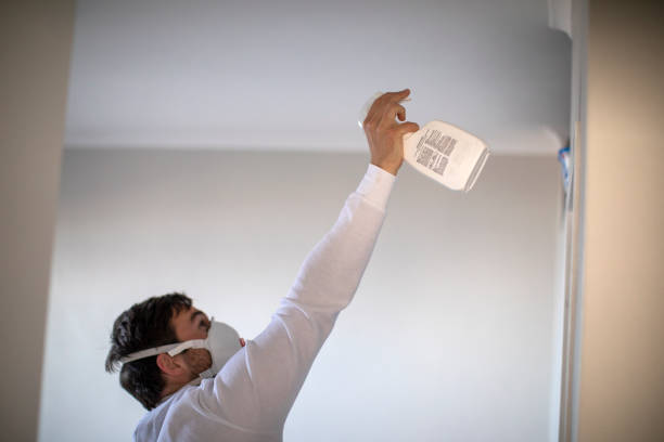 Best Mold Testing  in Nahunta, GA