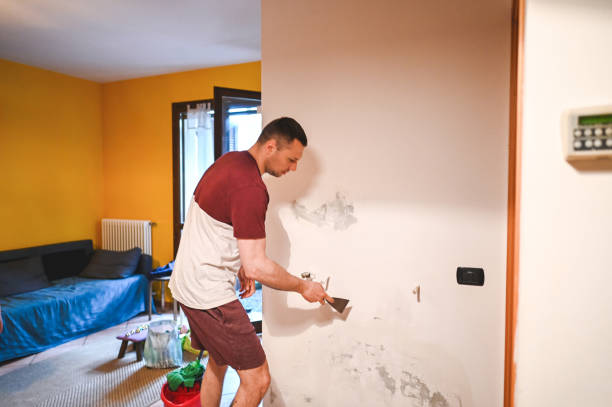 Best Home Mold Removal  in Nahunta, GA