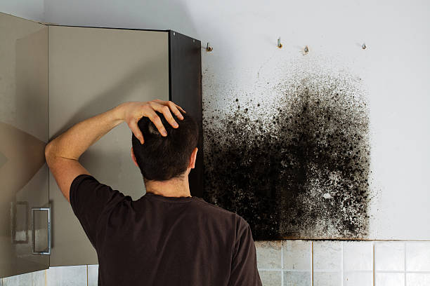 Best Mold Remediation  in Nahunta, GA